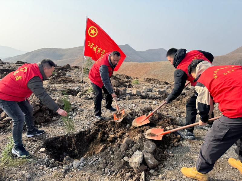 党建引领添新绿 洁净家园显担当