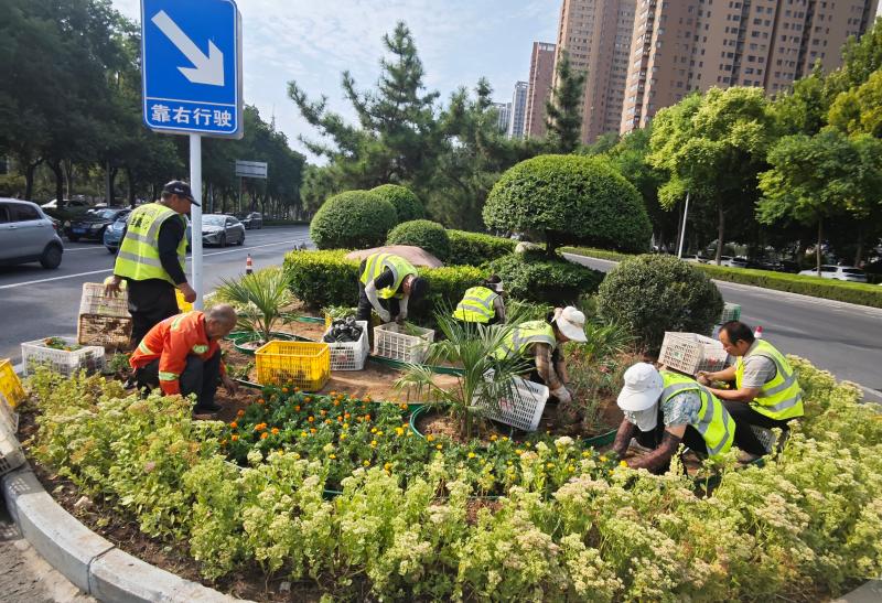 市城管局园林绿化中心：推进花坛彩化 提升道路景观